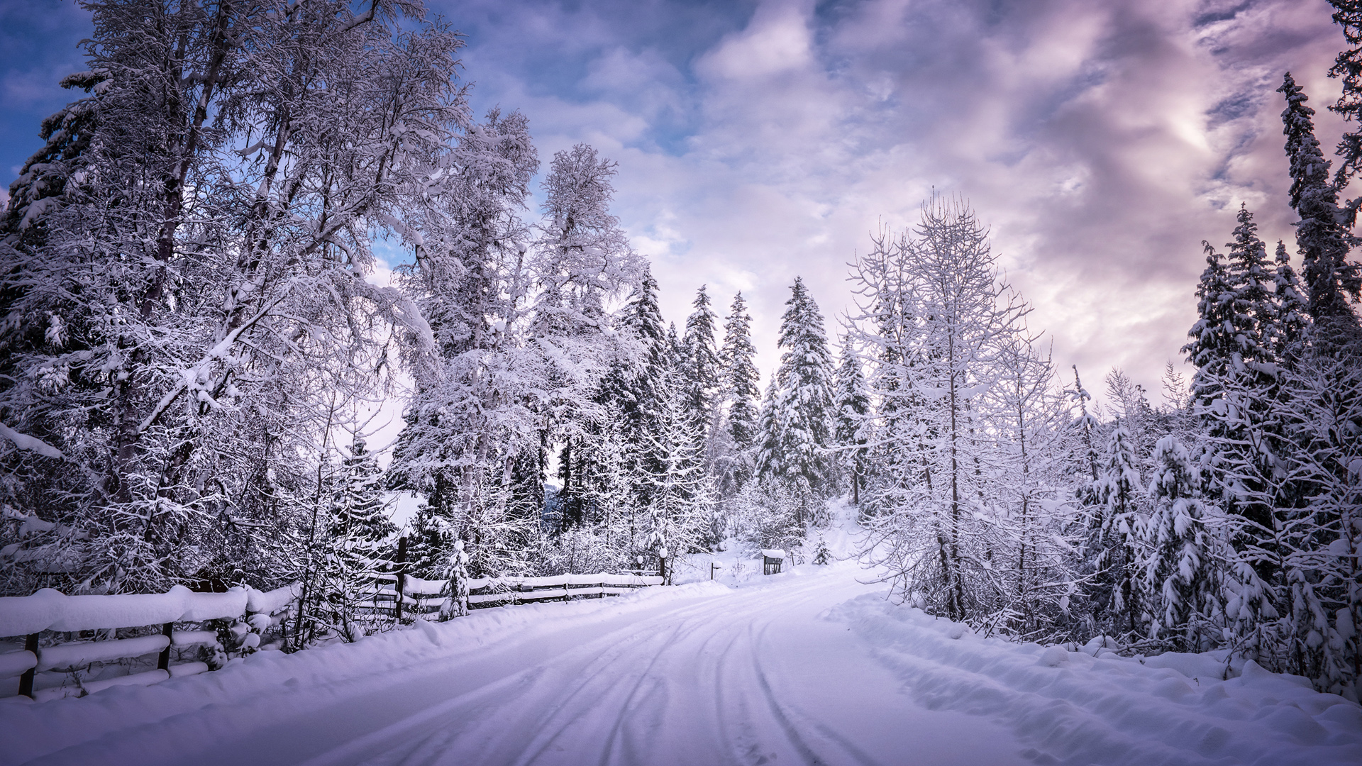 ['不列颠哥伦比亚 冬季雪景 桌面壁纸']