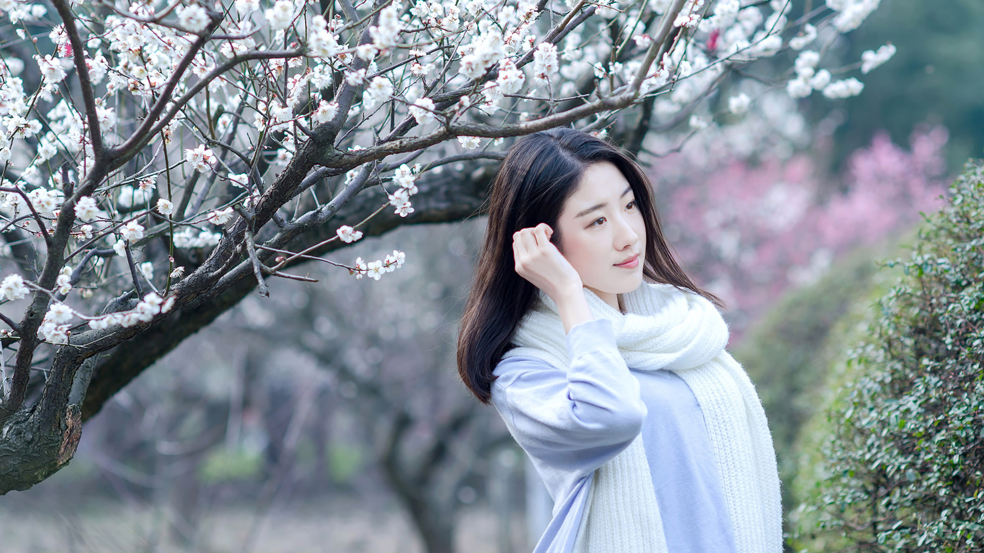 ['梅花 清纯 长发 文艺 美女 壁纸']