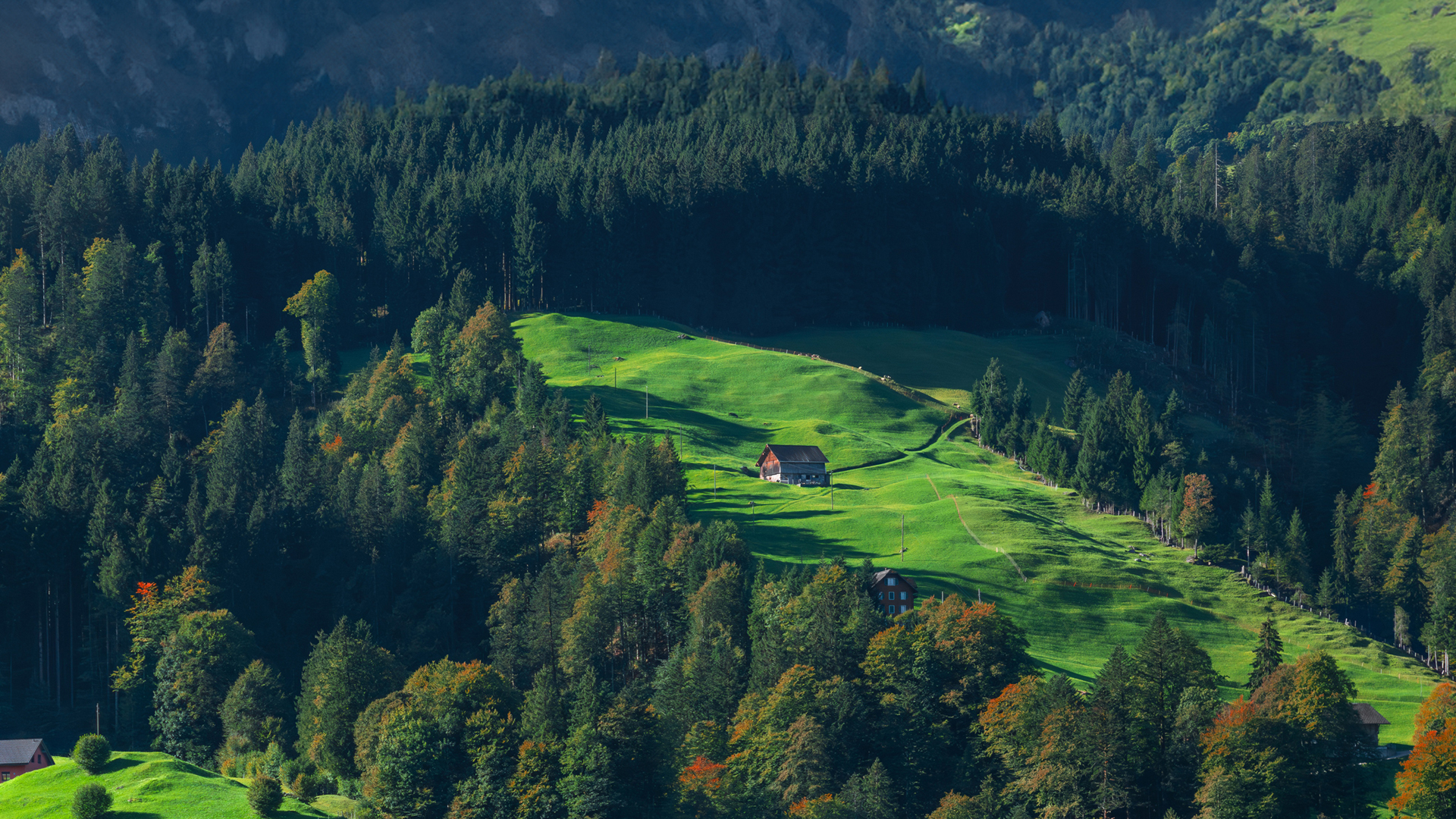 ['绿色森林 山坡木屋 绿色草地 自然风光 高清风景壁纸']