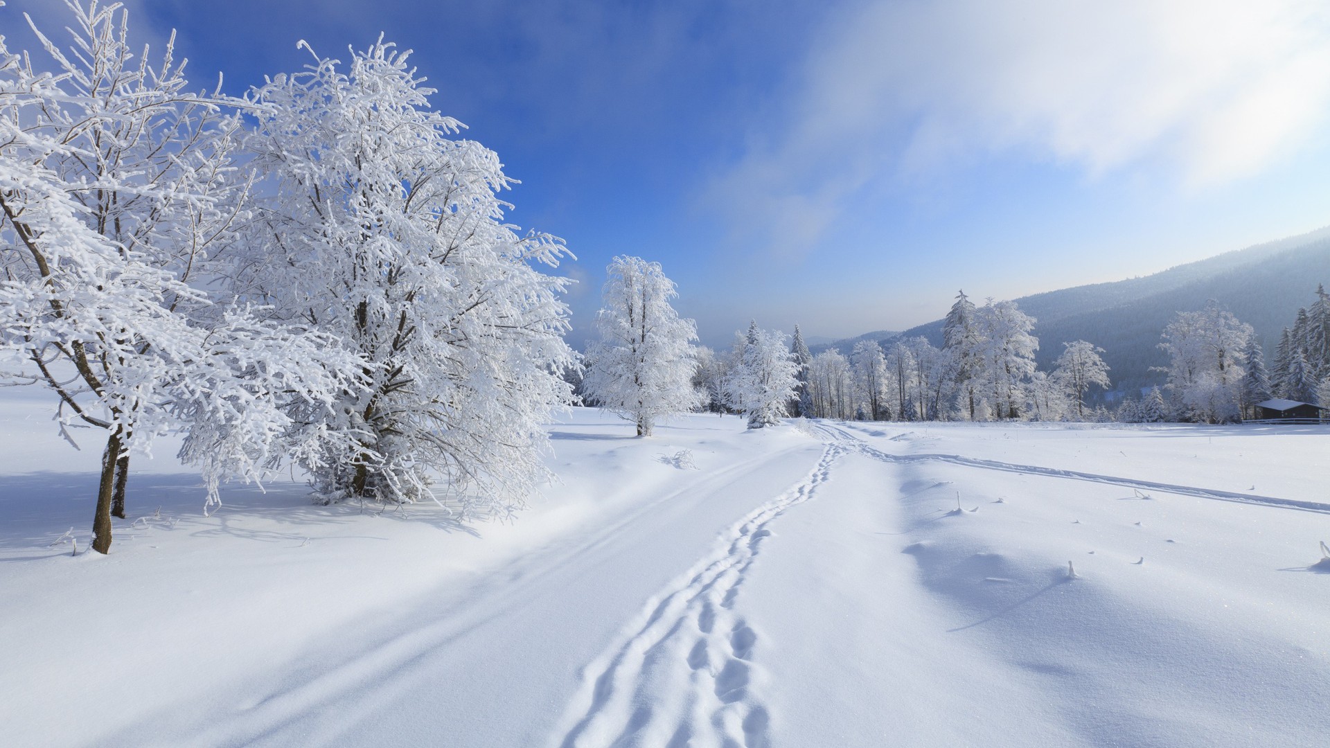 ['冬季 雪地 树林 公路 脚印 房子 风景桌面壁纸']