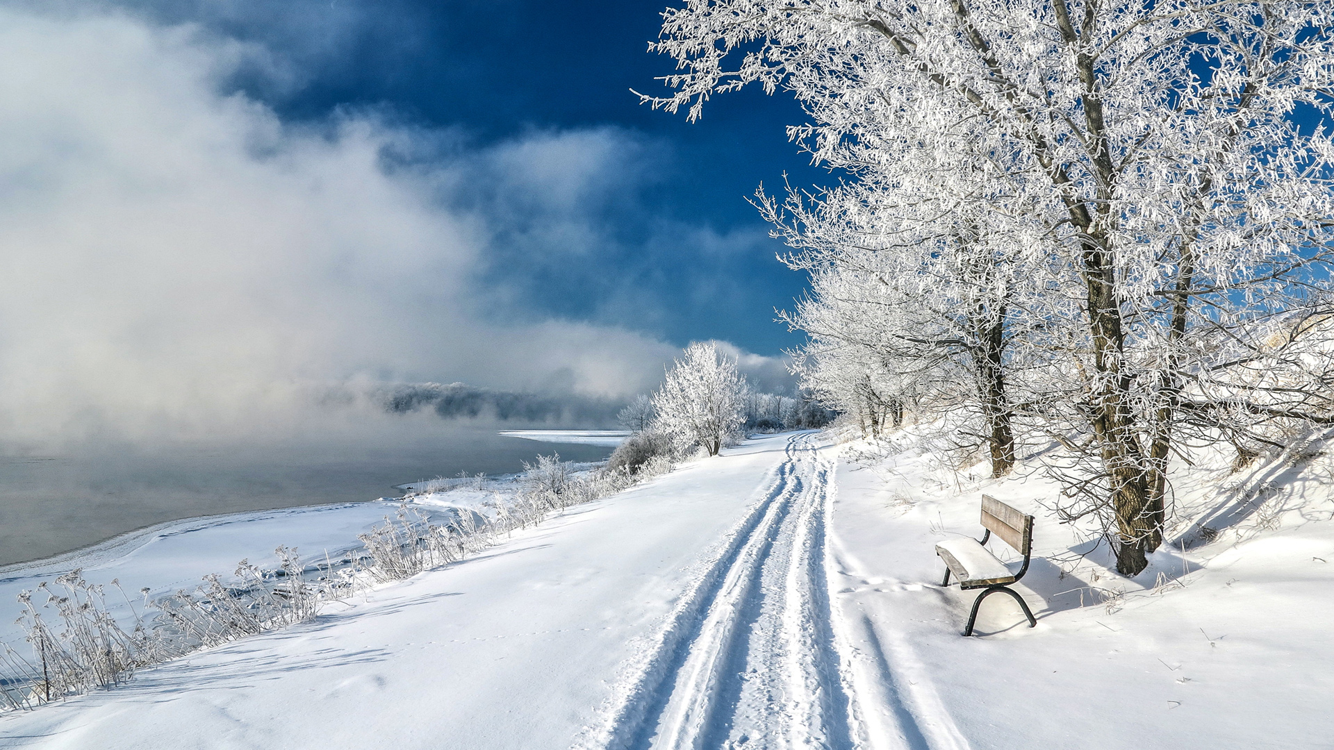 ['冬天雪地风景 树木道路 高清桌面壁纸']