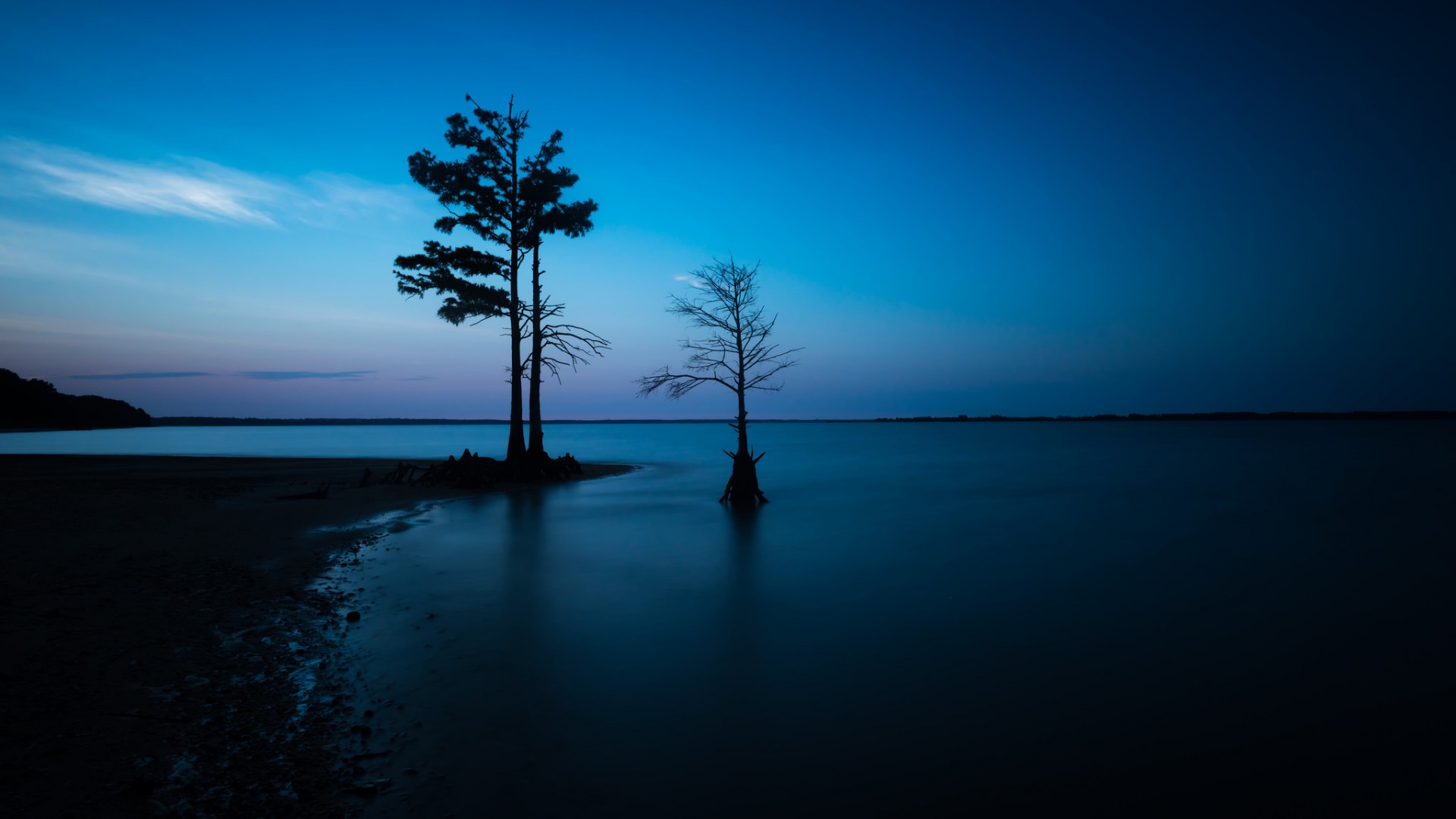 ['夜晚 海边 树 天空 高清风景壁纸 自然景观']