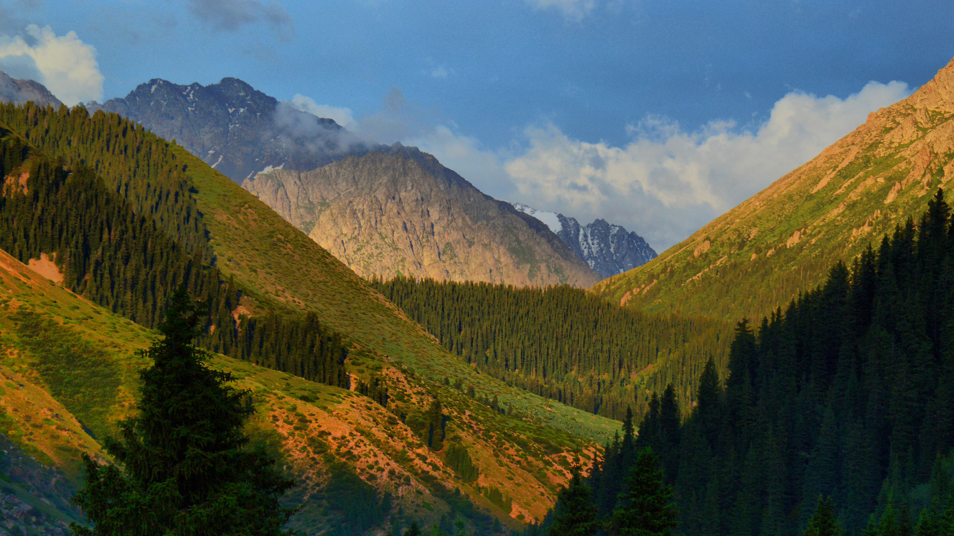 ['吉尔吉斯斯坦 天山峡谷 高山湖泊 森林风景 桌面壁纸']