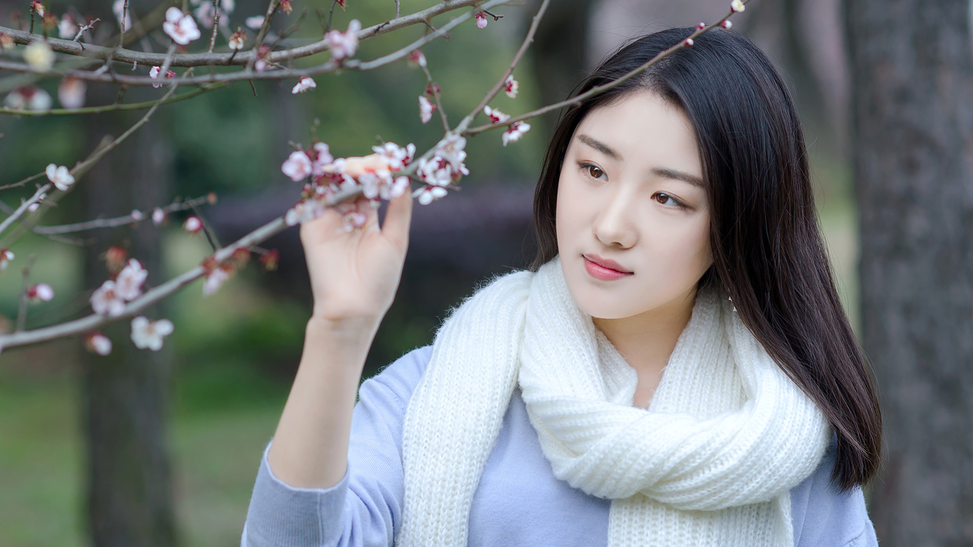 ['梅花香 梅花下 长发围巾 清纯美女 桌面壁纸']