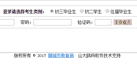 聊城市初中学业水平考试中考成绩查询网页截图