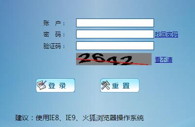 广西壮族自治区数字化民政平台网页截图