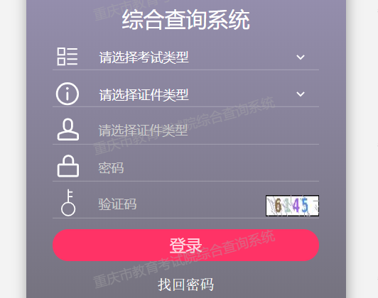 重庆市教育考试院门户网()高考成绩查询系统网页截图
