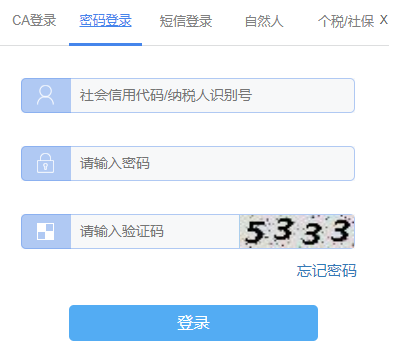 湖南地税网上办税服务厅网页截图